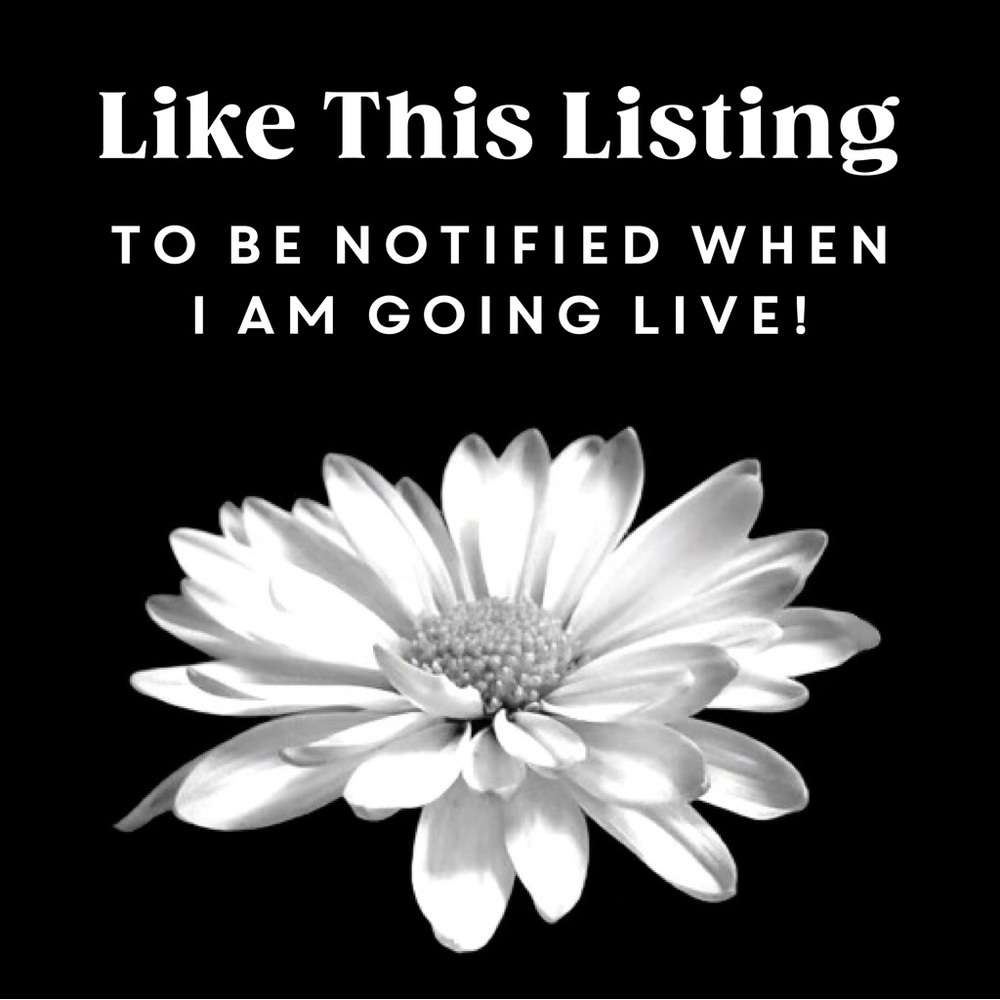 KMW1111 is Live🌸UNLISTED ITEMS 🌸Designer & Name Brands